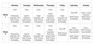 Image of in-season sample schedule for a very experienced lifter. This schedule is described on this page.