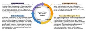 Image of Seasonal Training for Ultimate Athletes. Shows a circle made of four arrows feeding into each other. Information for Off-Season: Foundational Strength & Power Build your foundation through upping core control and build strength & power, focusing on work to correct imbalances and restrictions in your body. Workouts cycle between building strength (using heavy loads on slower movements) and power (using lighter weights and dynamic movements) to better adapt to the training stimulus and be ready to translate to on-field performance. Build your endurance/aerobic base through running long slow distances and tempo runs so you can go all tournament. Pre-Season: On-Field Translation Draw direct connections of the lifting movement patterns into running technique. Transition to more single-sided movements to ensure you’re ready to perform and stay healthy once the season starts. Workouts cycle between strength and power, with an increased focus on muscular endurance and stability for on-field movement patterns. Work on running mechanics and prepare your body for the impact of playing ultimate. Become a more efficient and injury-resistant mover. In-Season: Efficient Movement Continued prehab & rehab work integrated into lifting workouts to keep you practicing and playing. Emphasis on single-sided movements with mobility, stability, and soft tissue care to keep your joints moving smoothly. Conditioning targeted at efficient movements on the field and removing your “energy leaks”. Peak: Maximal Performance Prepare for the rigors of end of season performance, getting ready to peak for your major tournaments. Emphasis on muscular endurance and repeated power moves in lifting. High-intensity, high-recovery work on the field to complement your practices.